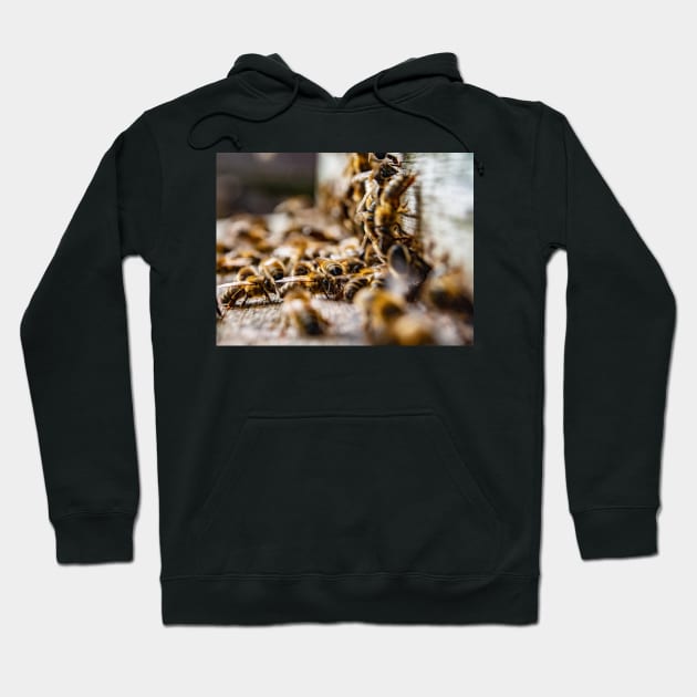 Beehive entrance Hoodie by JMKphotos